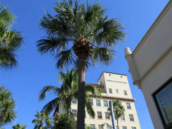 Gorgeous pedestrian-only street with exquisite tropical landscaping and sidewalk cafes galore.