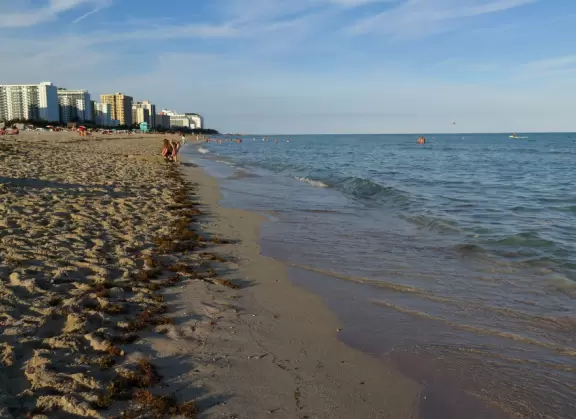 Gorgeous ocean colors, fun crowd of families, shallow water with little bouncy waves.