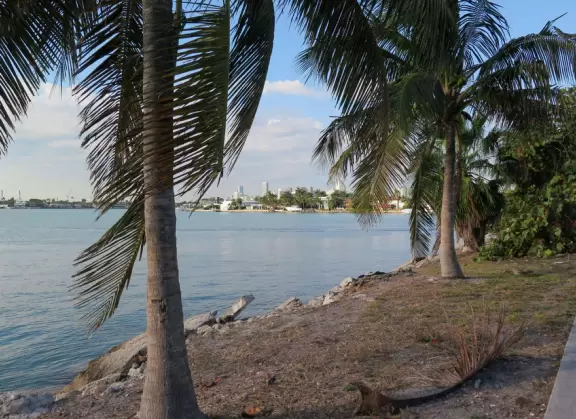 A gorgeous walk with wonderful water views at every turn.