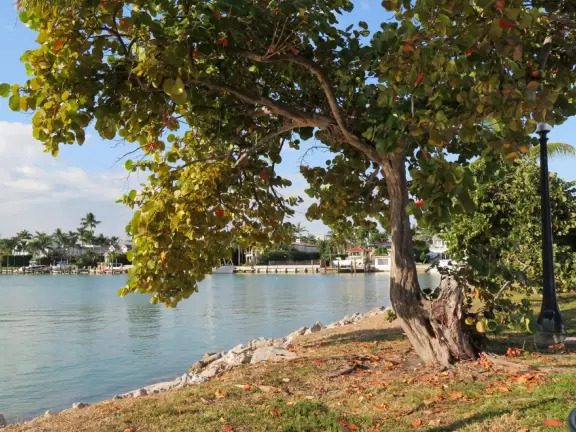 A gorgeous walk with wonderful water views at every turn.