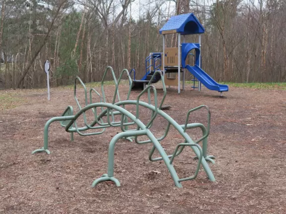 A beautiful park with very tall trees, winding paths, blossoming trees, and lovely patches of grass.