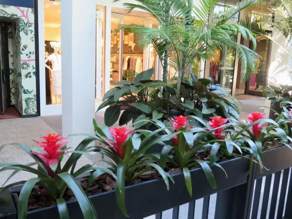 Ultra rich outdoor mall with gorgeous plants, fountains, sculptures, and flowers.