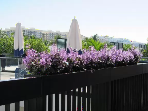 Ultra rich outdoor mall with gorgeous plants, fountains, sculptures, and flowers.