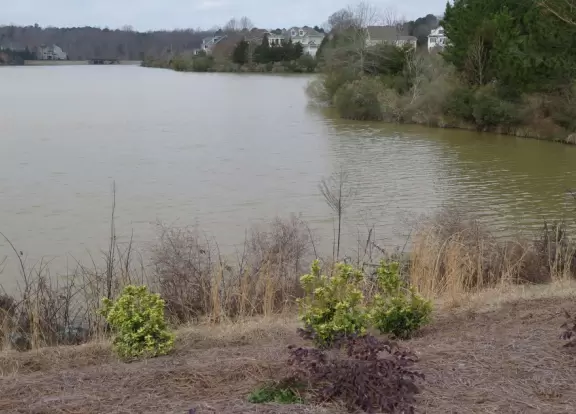 Two mile walk or bike ride around Cary Park Lake!