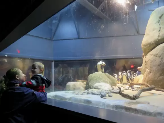 Unique and wonderful science center. Kids adore it!