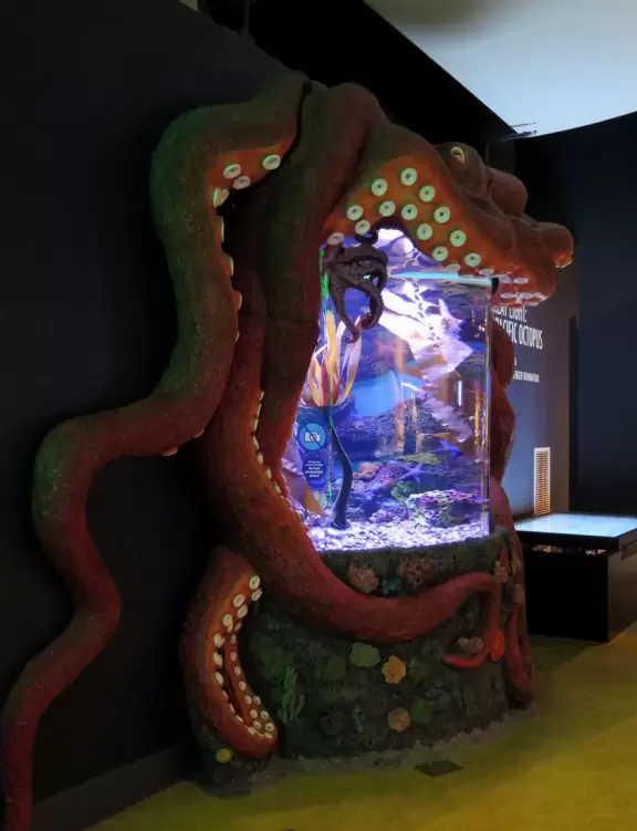 Unique and wonderful science center. Kids adore it!