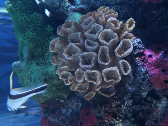 Unique and wonderful science center. Kids adore it!