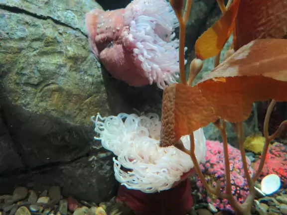 Unique and wonderful science center. Kids adore it!