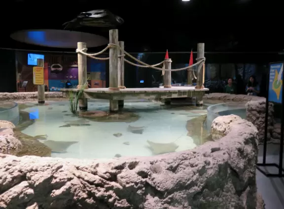 Unique and wonderful science center. Kids adore it!