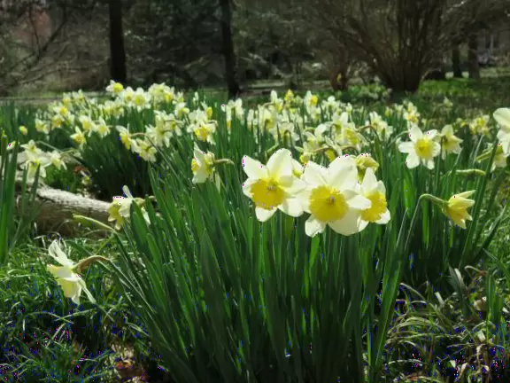 A quiet spot to take a minute in nature.