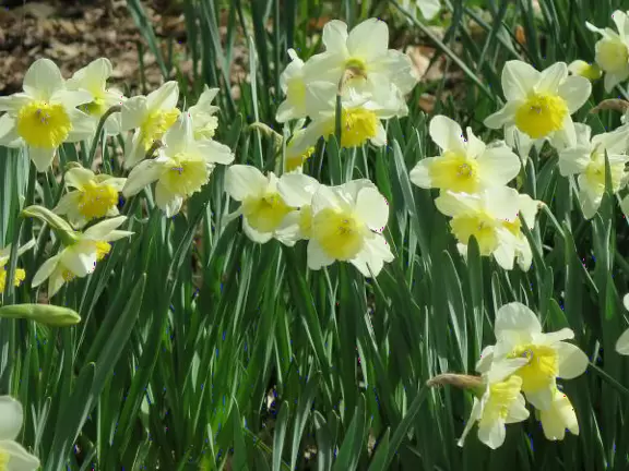 A quiet spot to take a minute in nature.