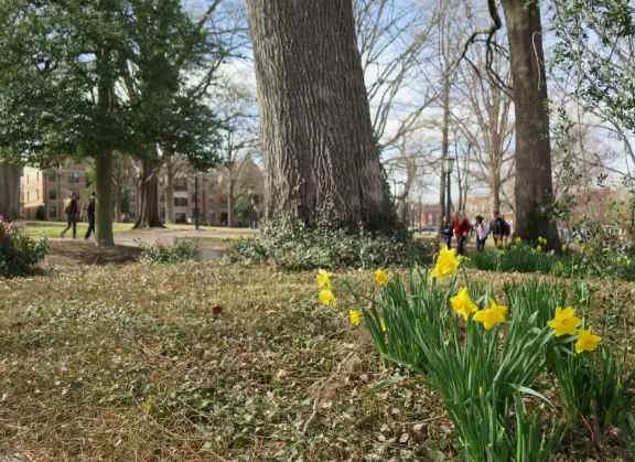 Historic buildings, sunny quad where students hang out, flowers and old trees, and fun student center area.