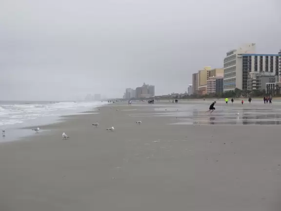 Beach with mucky sand and water, popular in summer.