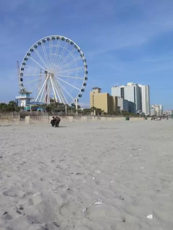 Pretty views of the sea and cabbage palms, in an otherwise tacky area.