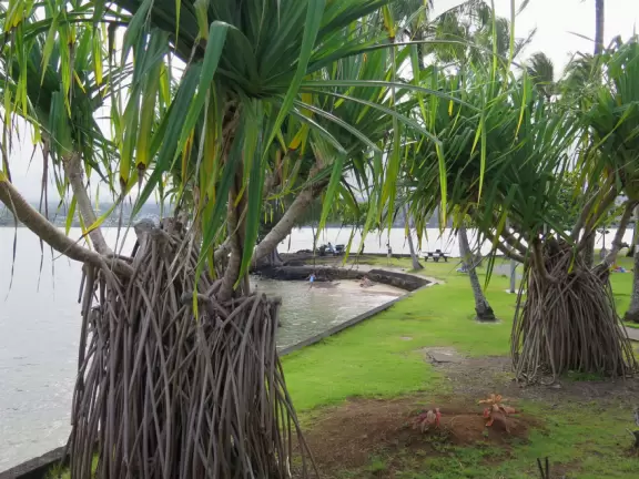 Beautiful little park on an island with a white pedestrian bridge.