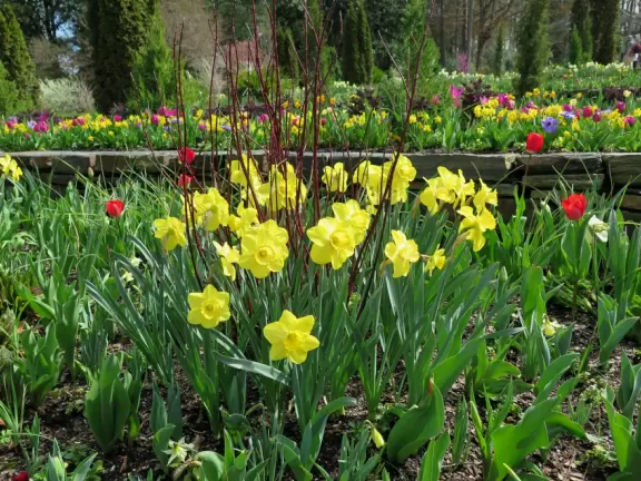 Large world-class garden with lakeside allees, flower terraces, and small Japanese garden.