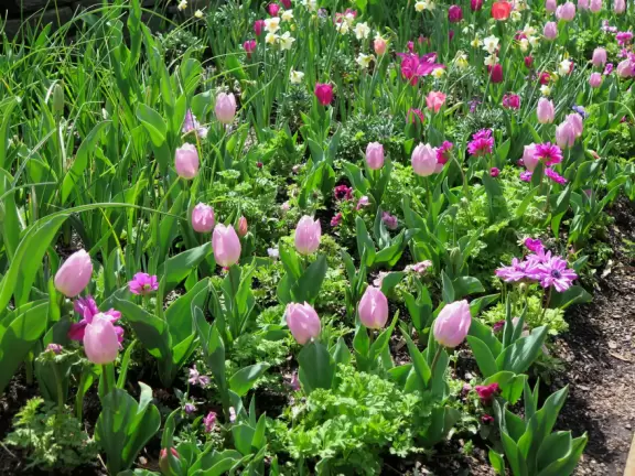 Large world-class garden with lakeside allees, flower terraces, and small Japanese garden.