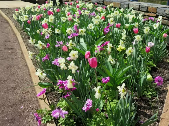 Large world-class garden with lakeside allees, flower terraces, and small Japanese garden.