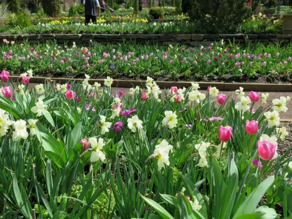 Large world-class garden with lakeside allees, flower terraces, and small Japanese garden.