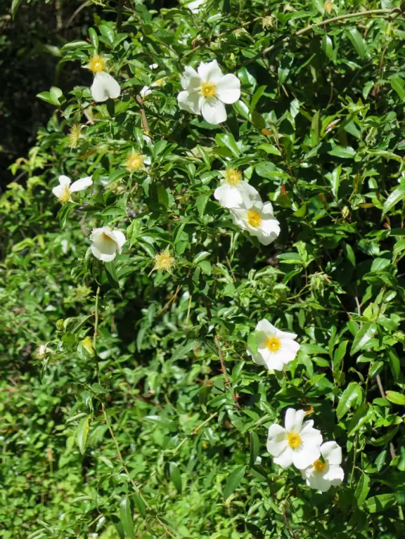Lovely&nbsp;grounds to walk around, plus a small indoor museum- something for everyone!