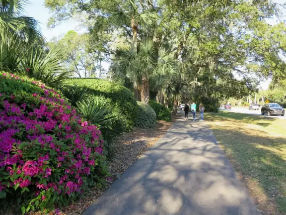 Gorgeous shady bike paths under trees strung with Spanish moss, with borders of flowers, over boardwalks with swamps below.