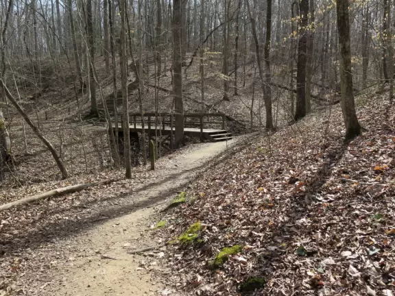 Fairly plain garden with some flowers, herbs, giant chess set, and sectioned off walkways for kids to run around.