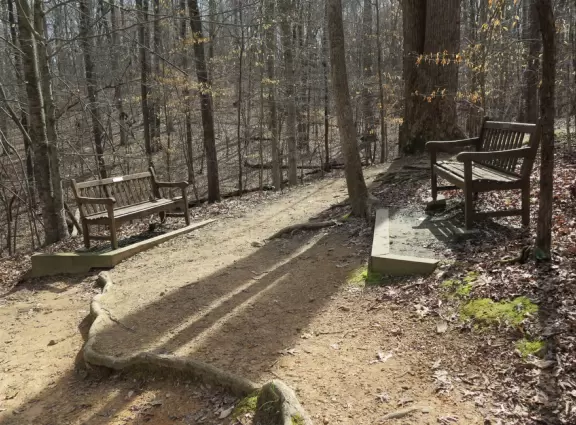 Fairly plain garden with some flowers, herbs, giant chess set, and sectioned off walkways for kids to run around.