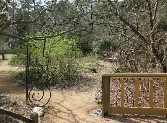 Fairly plain garden with some flowers, herbs, giant chess set, and sectioned off walkways for kids to run around.