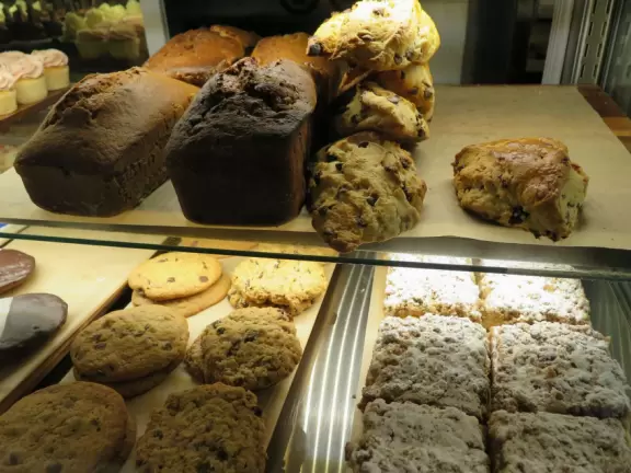 Great place for a walk, with&nbsp;Georgian architecture, busy students, main quad, and trail around the perimeter under gorgeous trees.