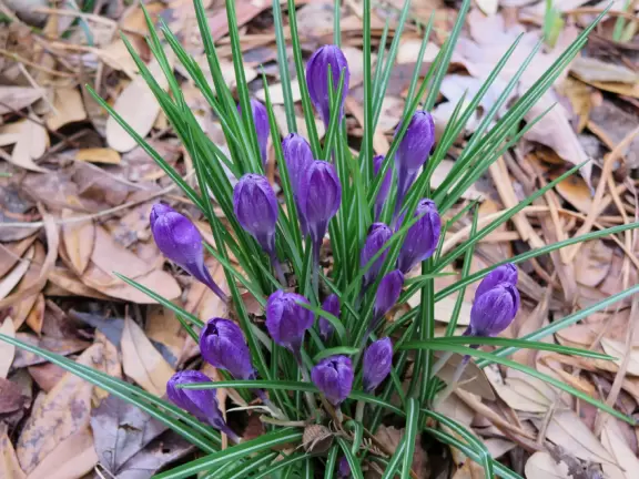 A quiet spot to take a minute in nature.