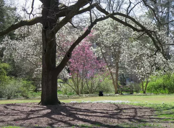A quiet spot to take a minute in nature.