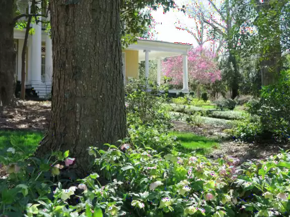 Historic buildings, sunny quad where students hang out, flowers and old trees, and fun student center area.