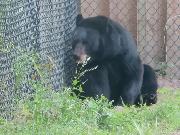 Tropical wonderland of plants and flowers, sculptures, impressive architecture, plus nice enclosures with beautiful animals.