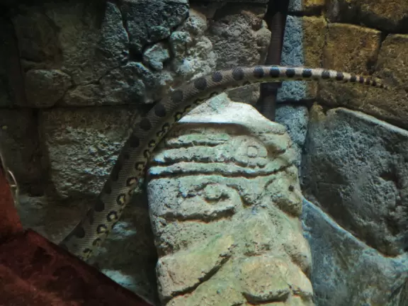 Tropical wonderland of plants and flowers, sculptures, impressive architecture, plus nice enclosures with beautiful animals.