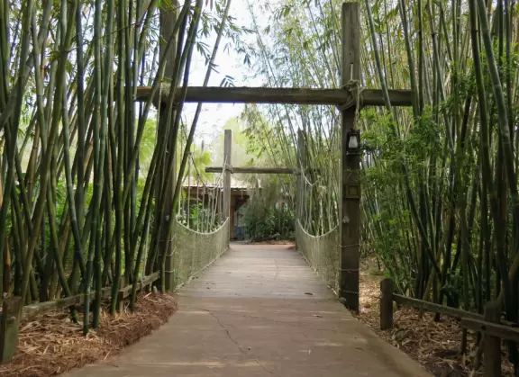 Tropical wonderland of plants and flowers, sculptures, impressive architecture, plus nice enclosures with beautiful animals.