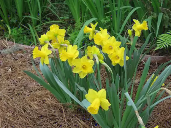 Small garden- pleasant if you're in the area.