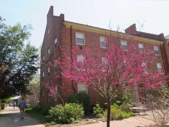 Pleasant campus with lots of open spaces to hang out.