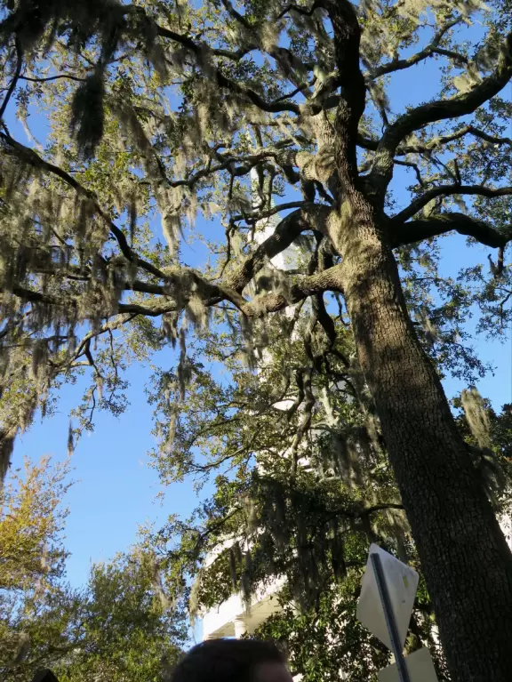 Low-lying town with incredible architecture and luscious squares.