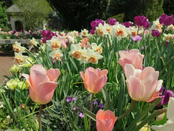 Large world-class garden with lakeside allees, flower terraces, and small Japanese garden.