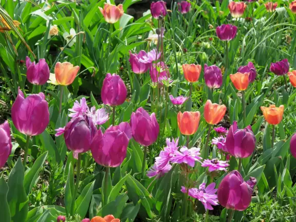 Large world-class garden with lakeside allees, flower terraces, and small Japanese garden.