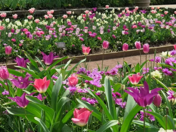 Large world-class garden with lakeside allees, flower terraces, and small Japanese garden.