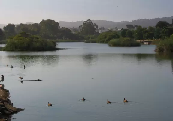 Circular walk around a lake. Geese, ducks, plenty of trees, and two great playgrounds!
