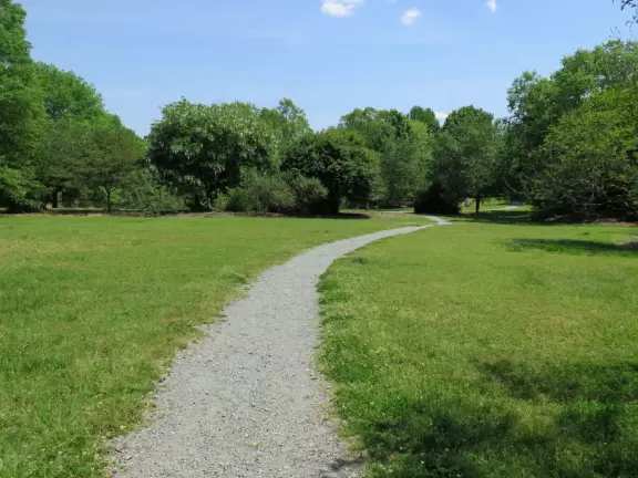 Cute neighborhood with shady streets, wonderful bookstore, coffee shop with great outdoor seating, and belted goats to check out.