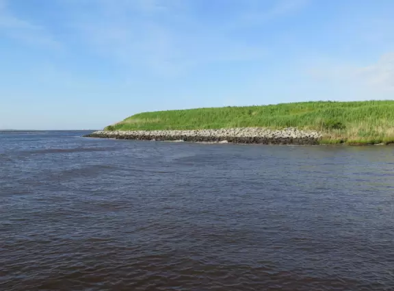 It's fun for kids to take a car ferry!