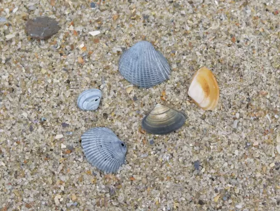 Cute town with pastel-colored beach houses and turquoise horizon.