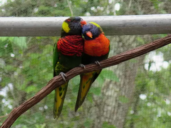 Top notch aquarium with nice temporary exhibits too!