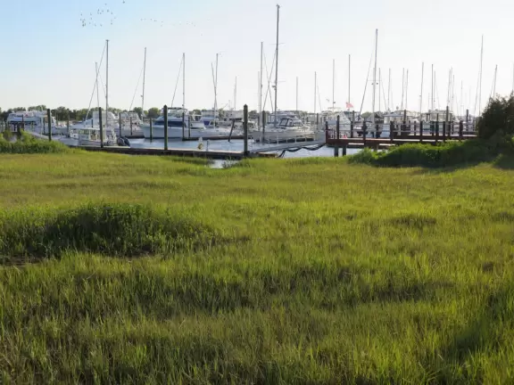 Boardwalk over the salt marsh. Magical views!