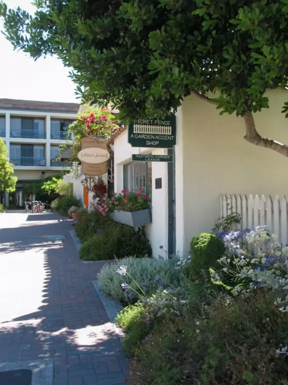 Downtown Monterey has a youthful vibe, and gorgeous historical buildings and trees.