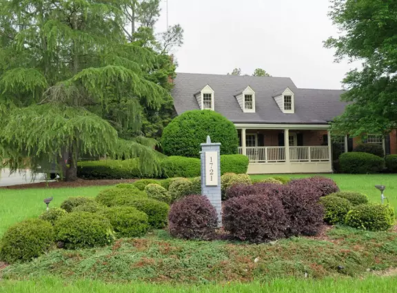 A straight shady path beneath forest trees, with sewer cylinders.