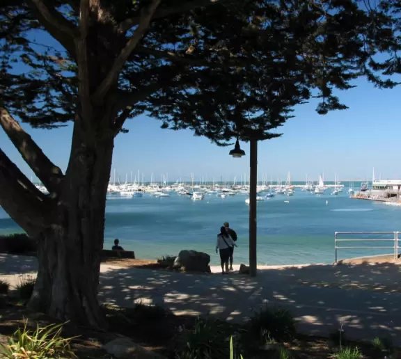 Downtown Monterey has a youthful vibe, and gorgeous historical buildings and trees.